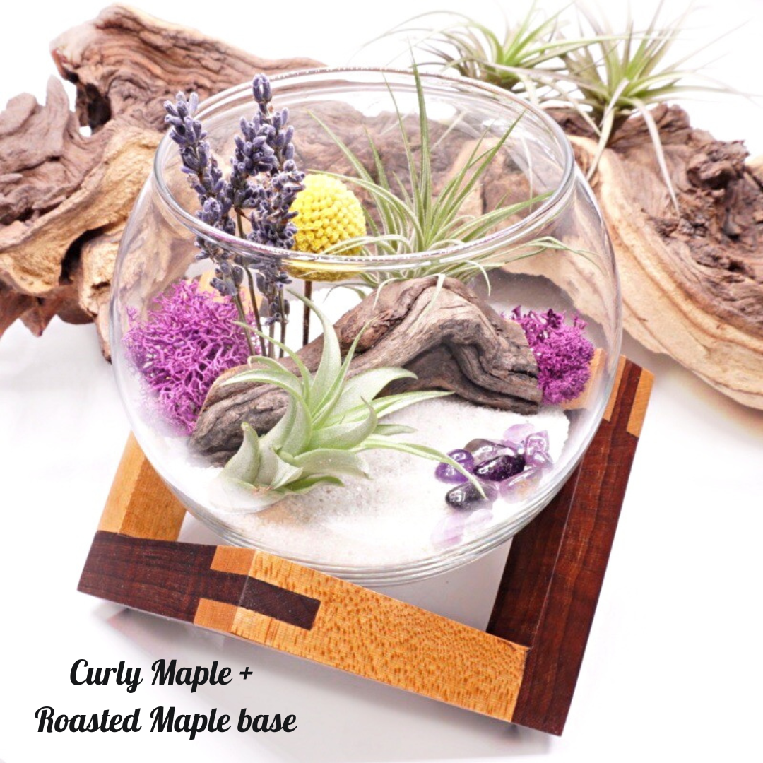 Wooden Displays - Large