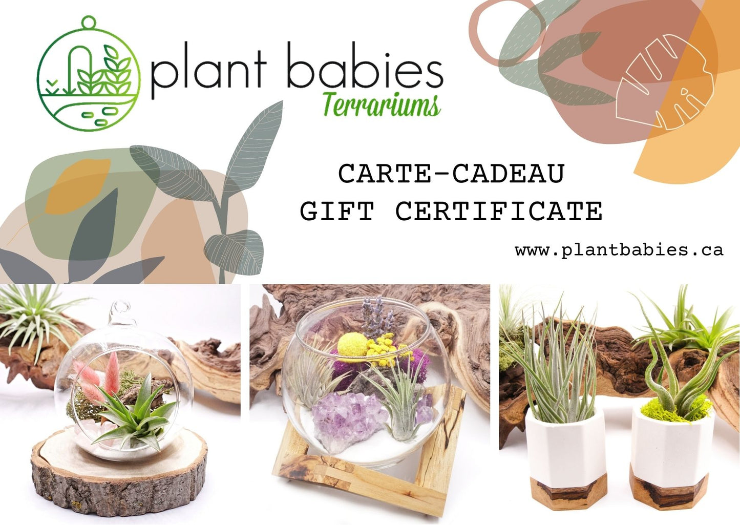 Plant Babies Terrarium Gift Card