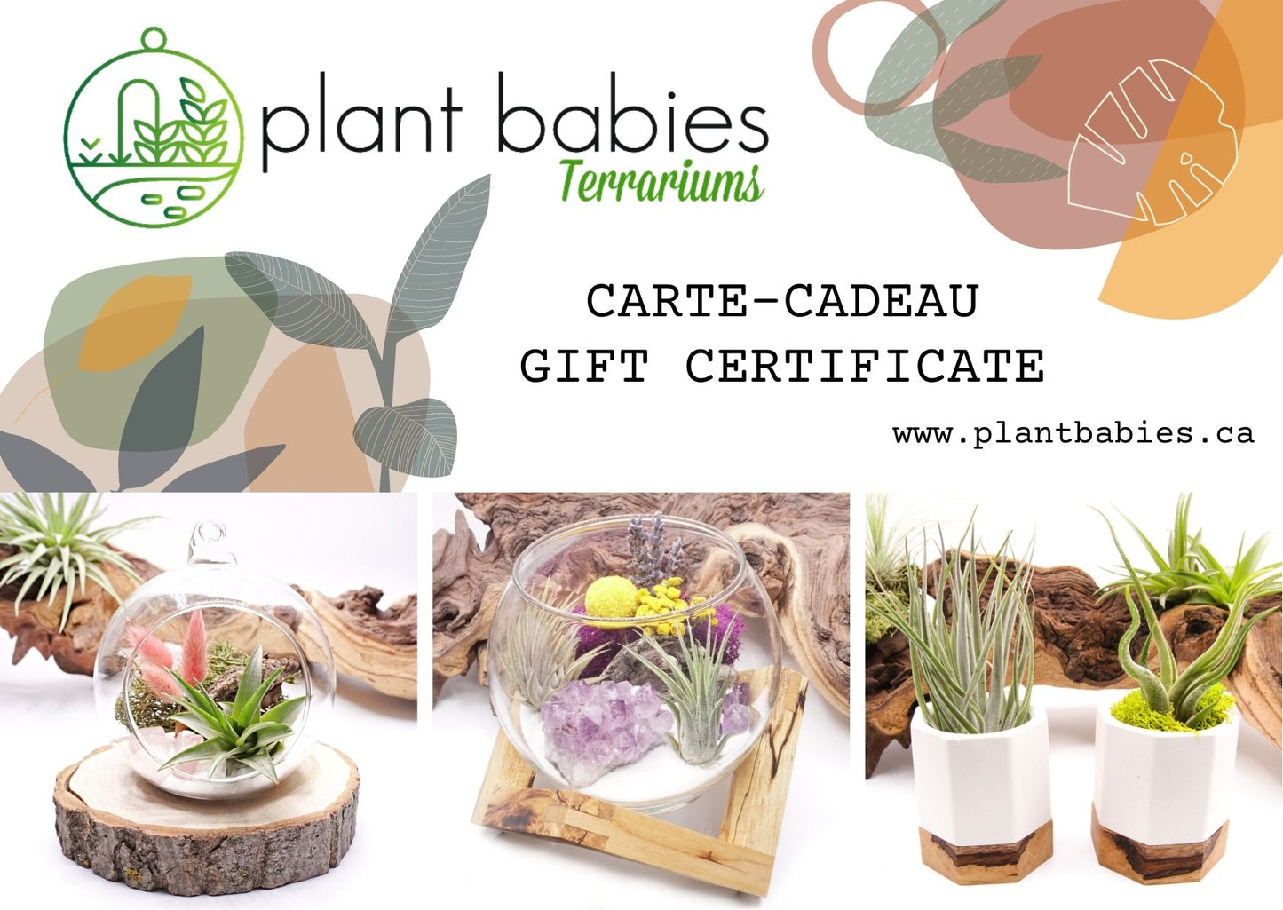 Carte-Cadeau