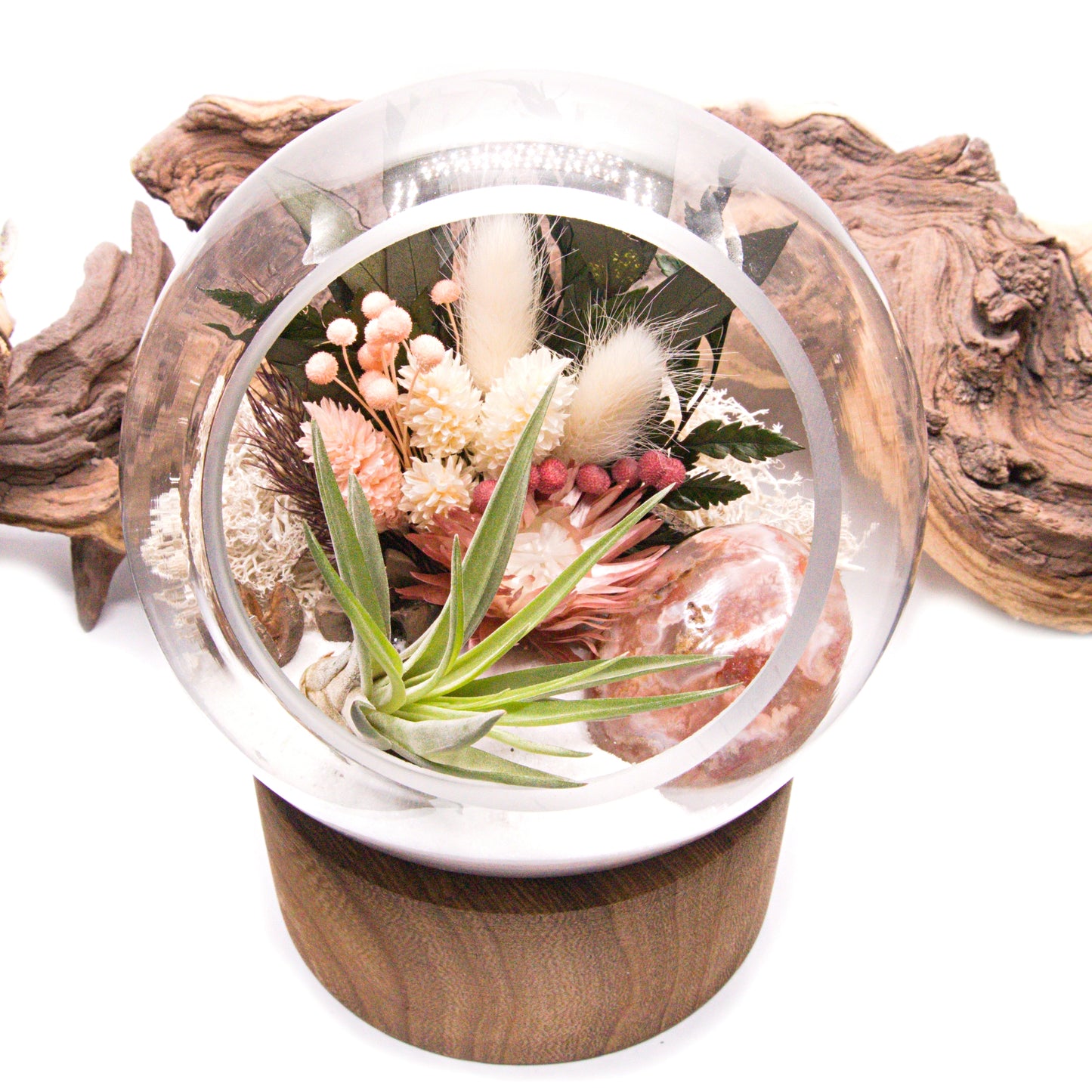 Bubble Terrarium - Large Flower Agate