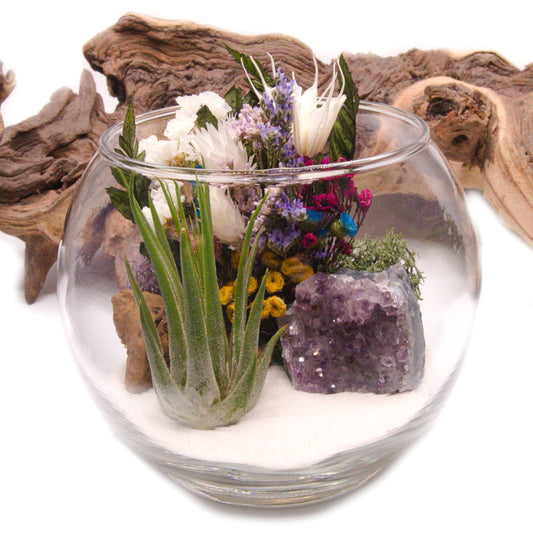 Airplant terrarium in a glass bowl with a bouquet of dried flowers, moss, wood and a raw amethyst crystal.