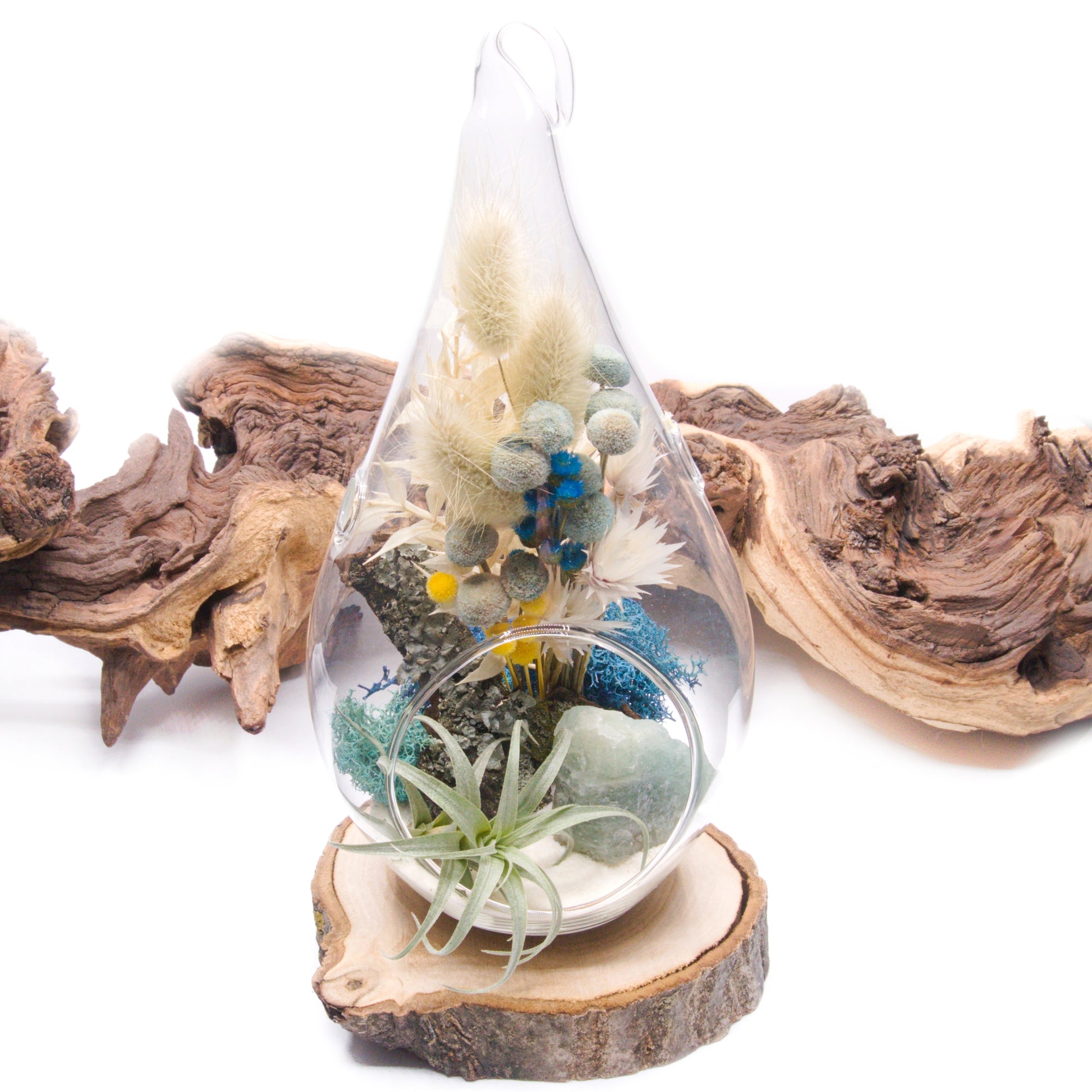Glass tear-drop shaped airplant terrarium with a bouquet of dried flowers, moss, wood and an aquamarine crystal