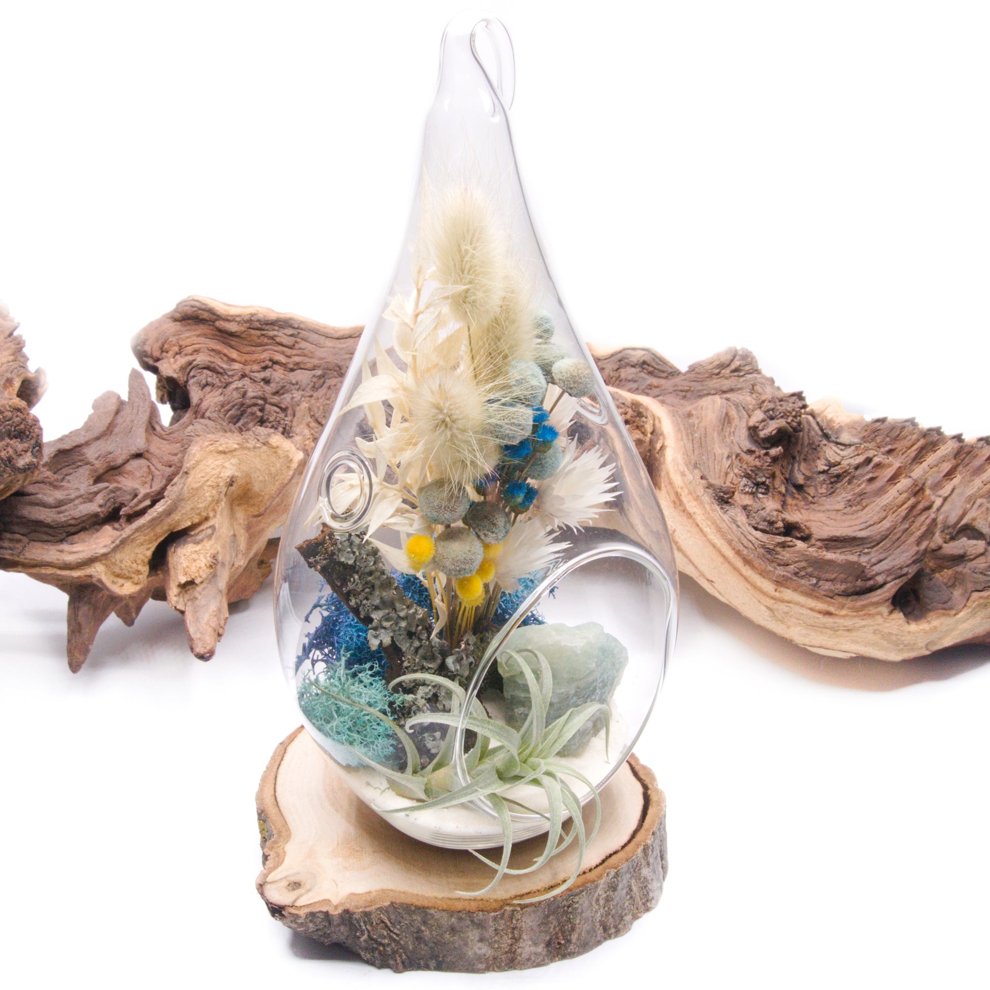 Glass tear-drop shaped airplant terrarium with a bouquet of dried flowers, moss, wood and an aquamarine crystal