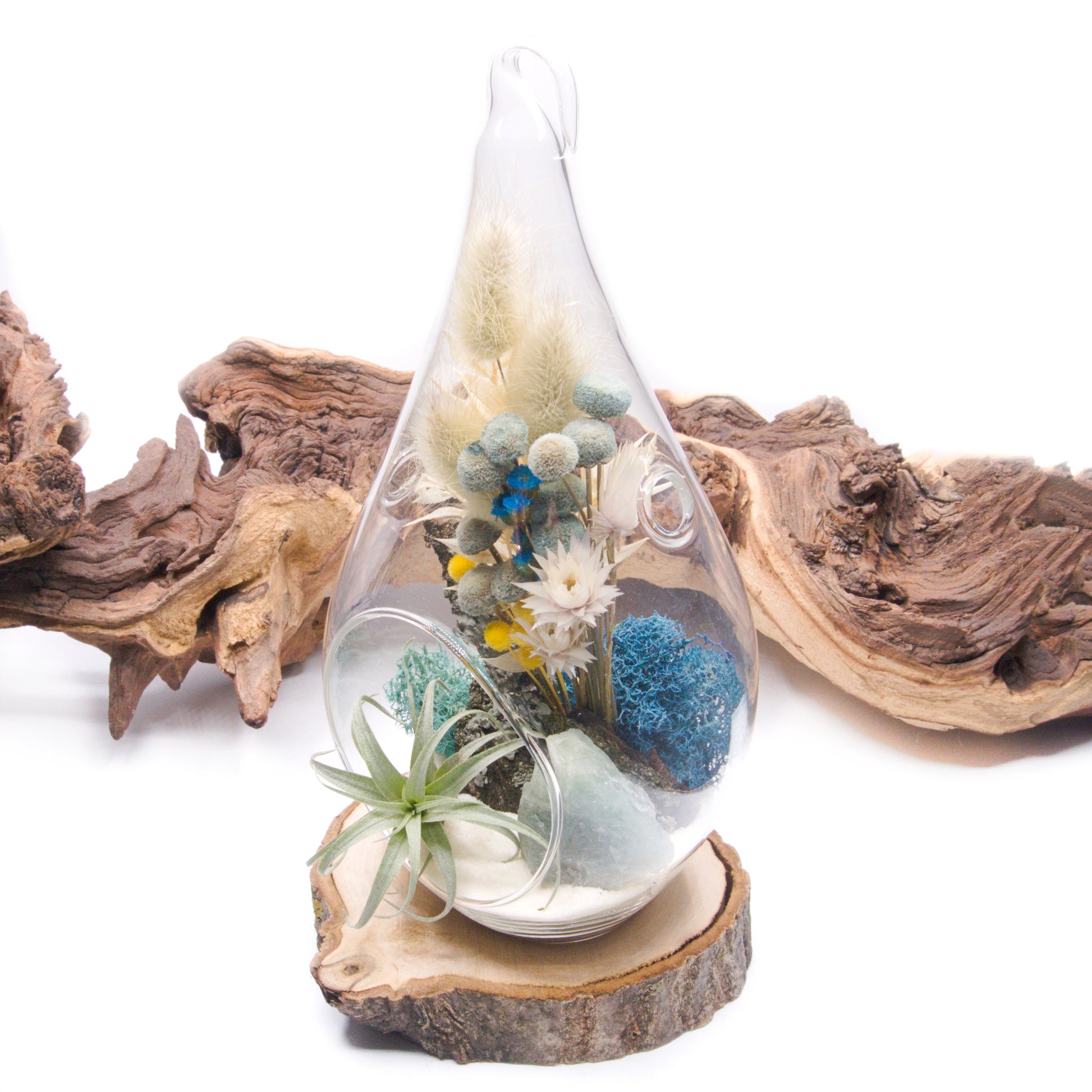 Glass tear-drop shaped airplant terrarium with a bouquet of dried flowers, moss, wood and an aquamarine crystal