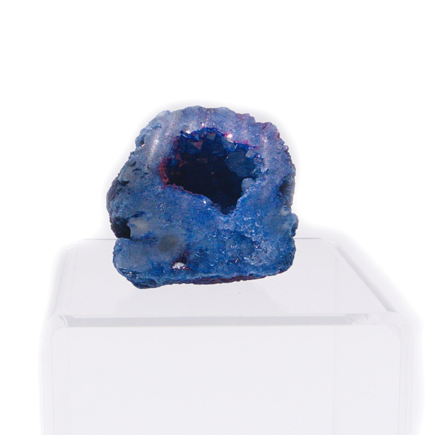 Tillandsia Terrarium - Blue Geode