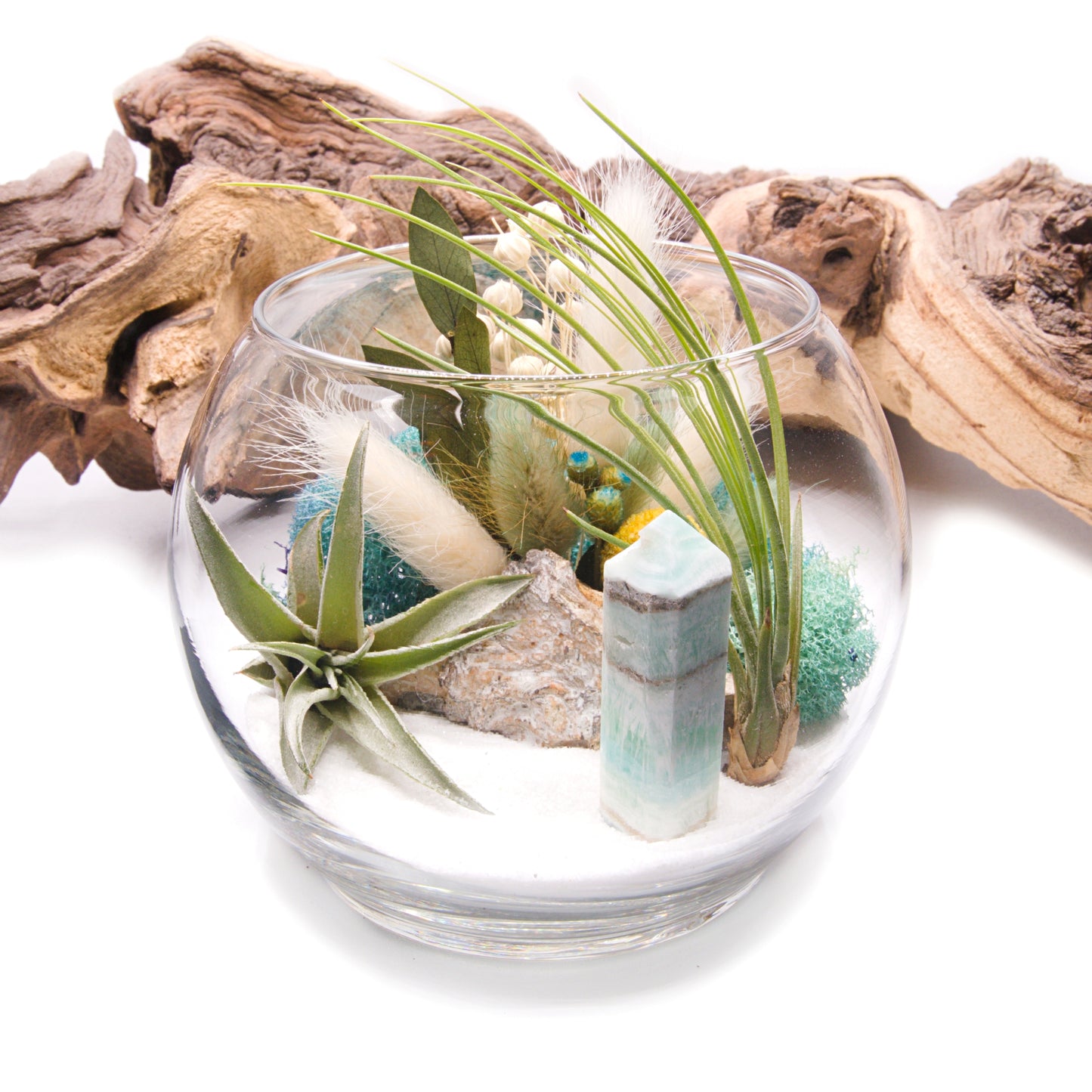 Tillandsia Terrarium - Caribbean Calcite