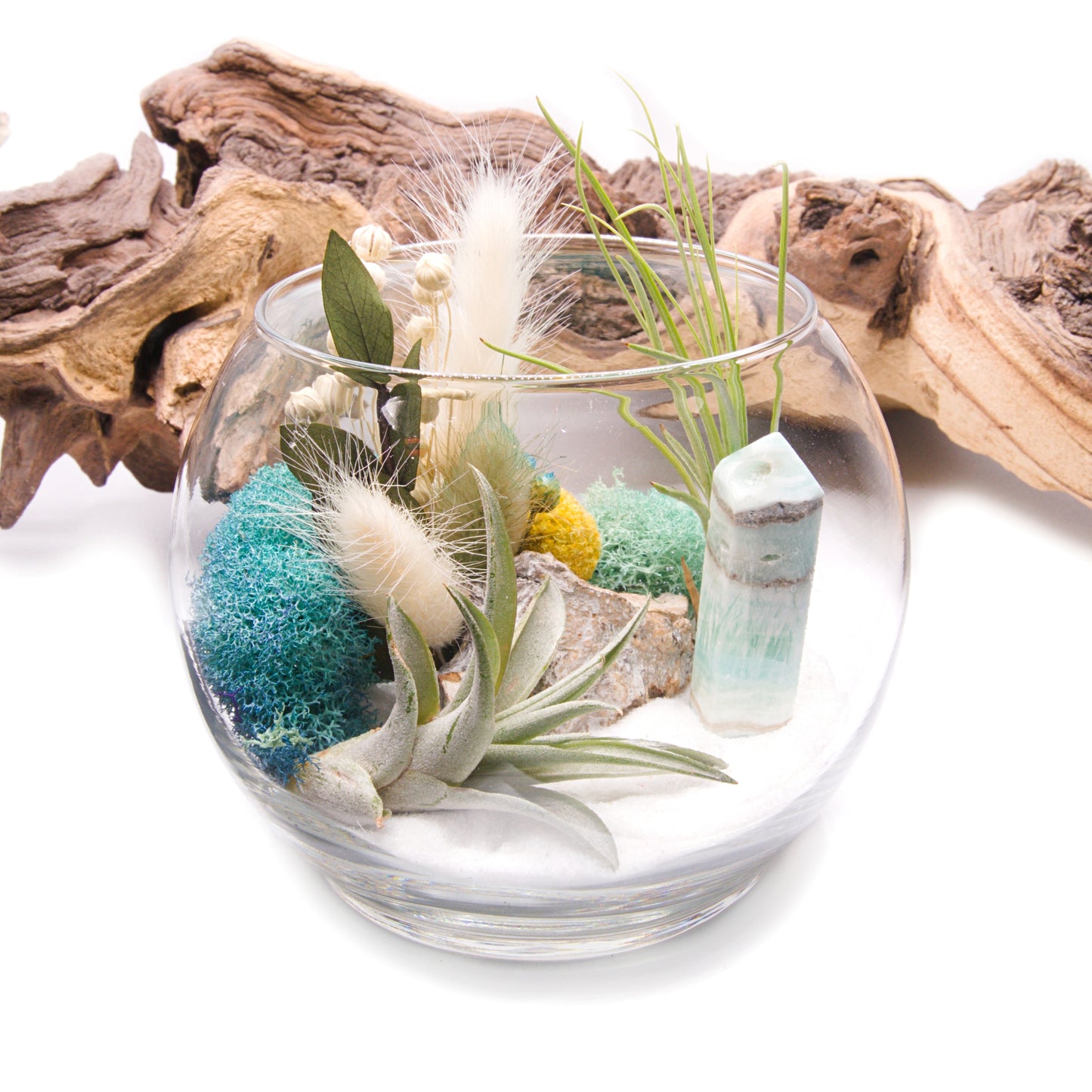 Tillandsia Terrarium - Caribbean Calcite