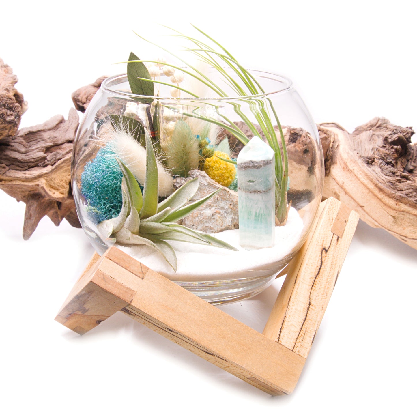 Tillandsia Terrarium - Caribbean Calcite