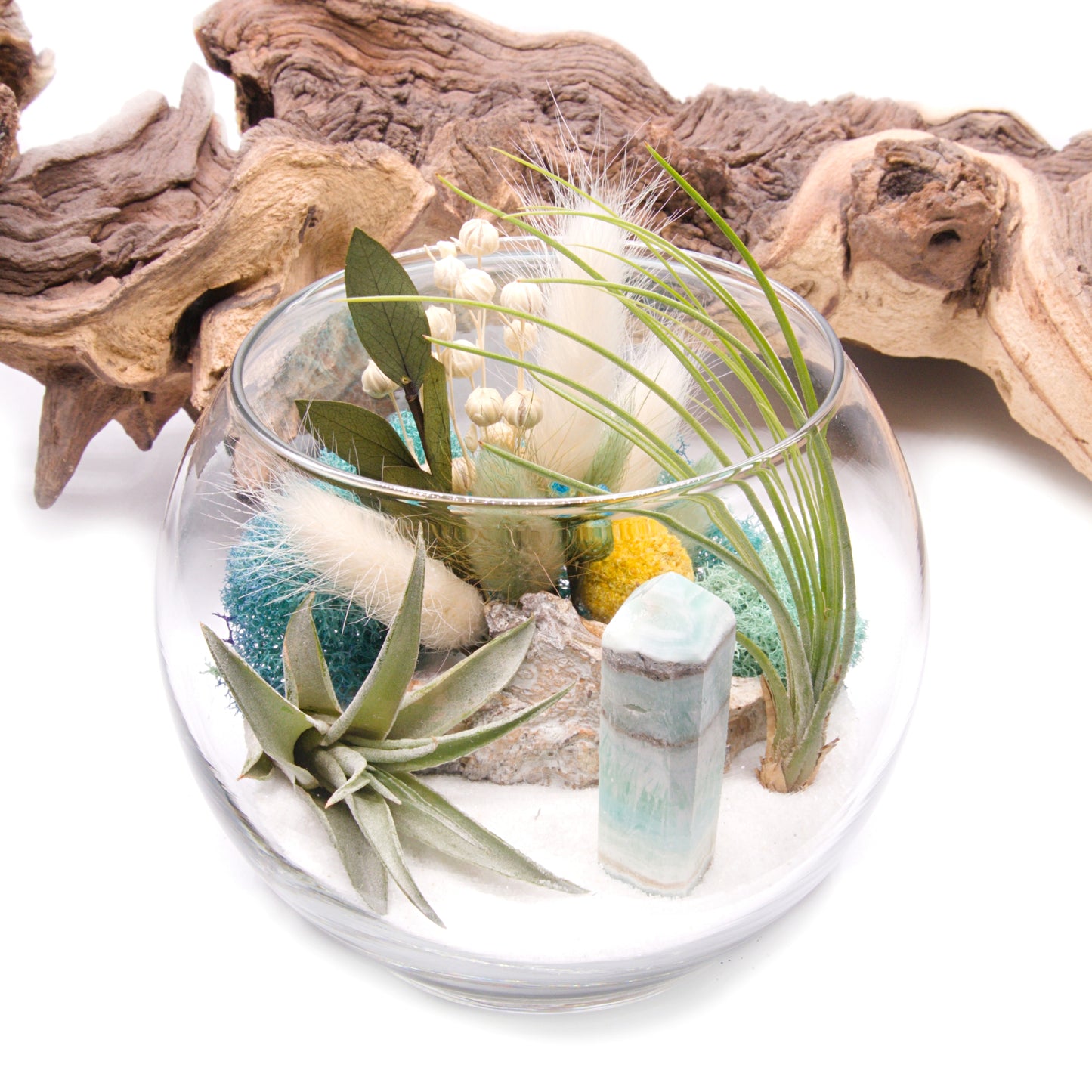 Tillandsia Terrarium - Caribbean Calcite