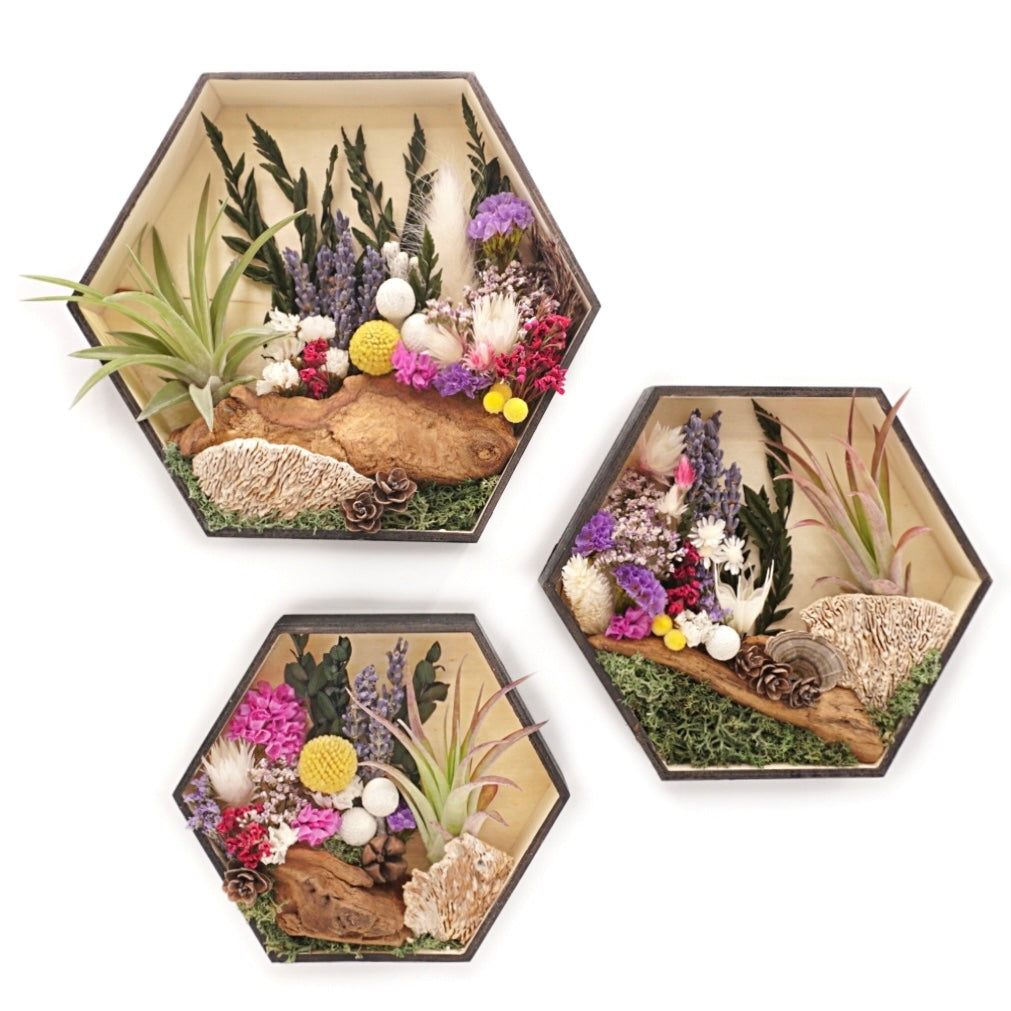 Hexagon wooden box frame filled with dried flowers with purple accents, wood, moss and an airplant/tillandsia