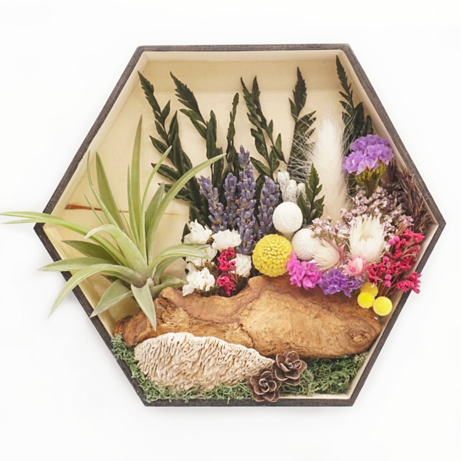 Hexagon wooden box frame filled with dried flowers with purple accents, wood, moss and an airplant/tillandsia