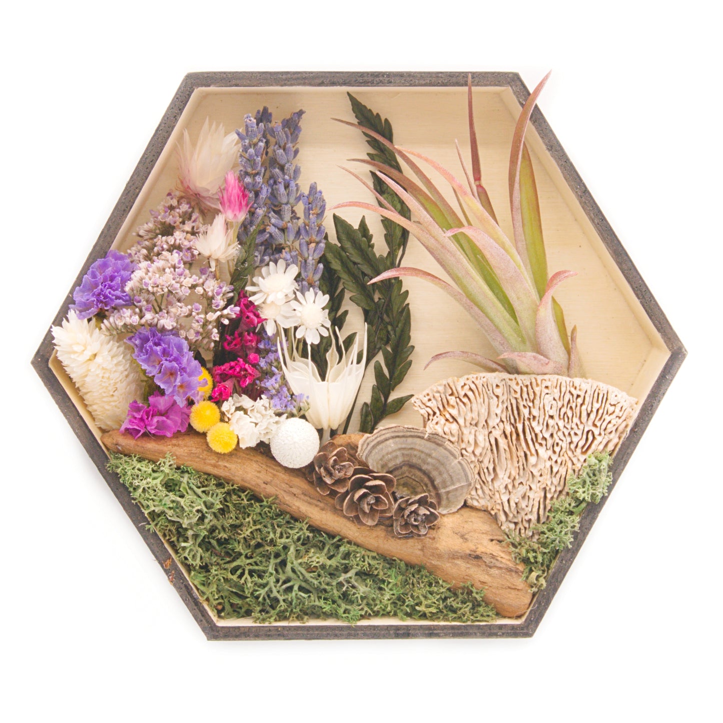 Hexagon wooden box frame filled with dried flowers with purple accents, wood, moss and an airplant/tillandsia