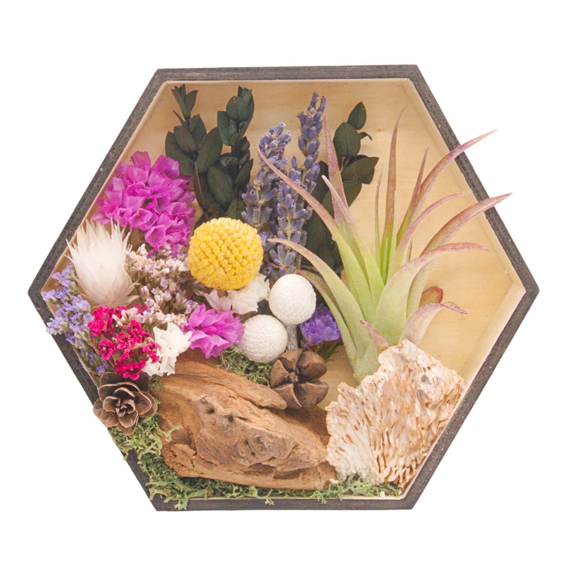 Hexagon wooden box frame filled with dried flowers with purple accents, wood, moss and an airplant/tillandsia