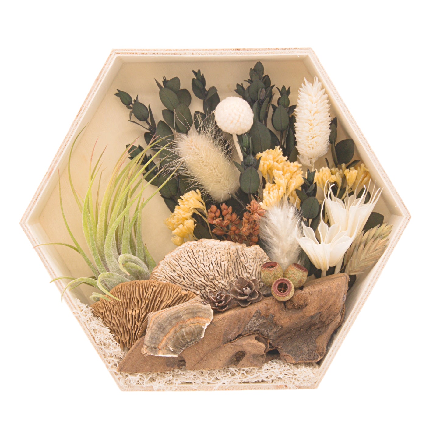 Wooden hexagon box frame filled with dried flowers, moss, wood and an airplant/tillandsia