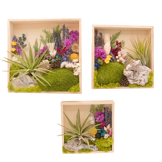 Wooden box frame filled with colourful dried flowers, moss, wood and an airplant/tillandsia