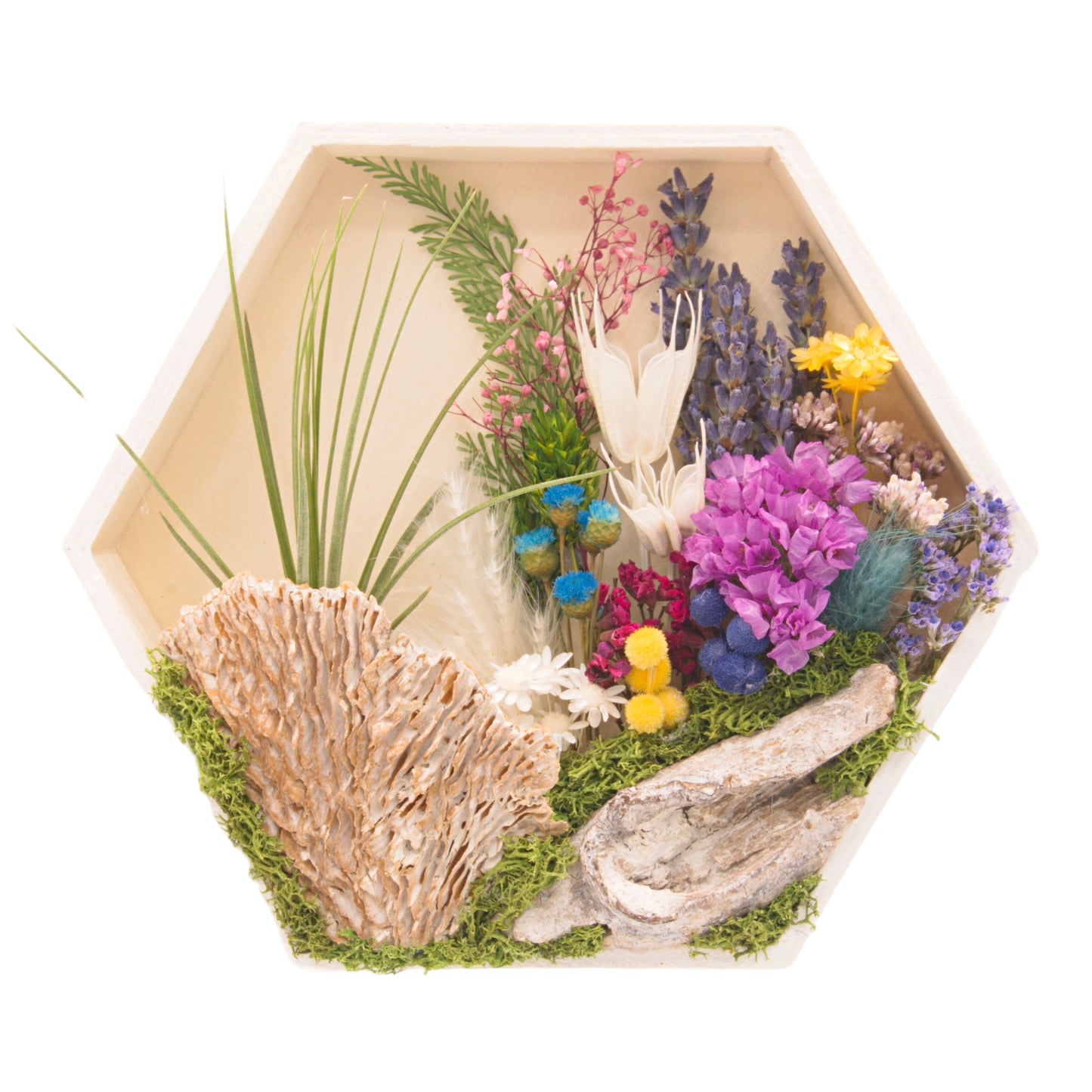 Hexagon wooden box frame, outside edges painted white, filled with colourful dried flowers, wood, moss and an airplant