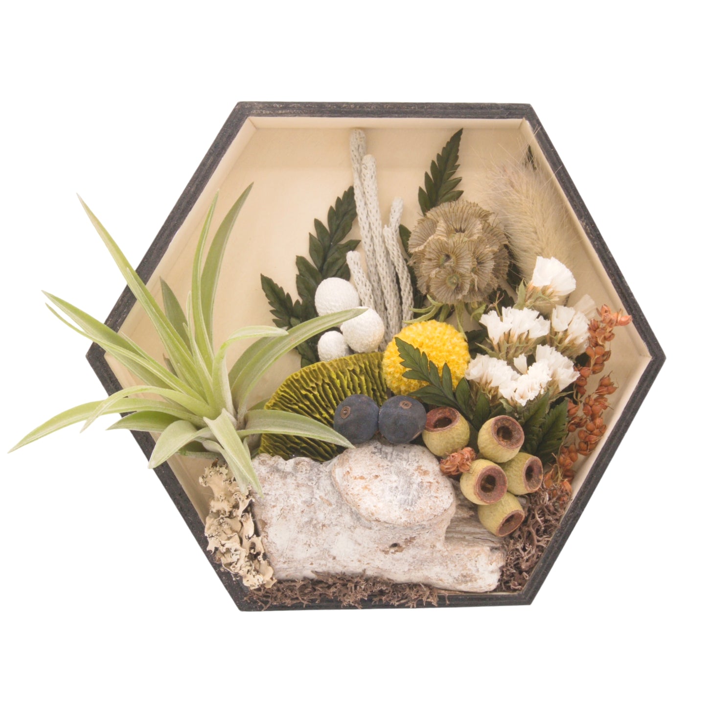 Hexagon-shaped wooden box frames filled with dried flowers, moss, wood and an airplant.