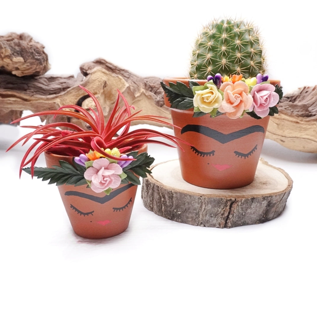 Rosa & Rosalita Terracotta Pots