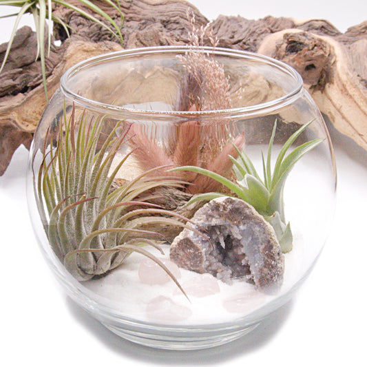 Terrarium à bol - Quartz rose-gris