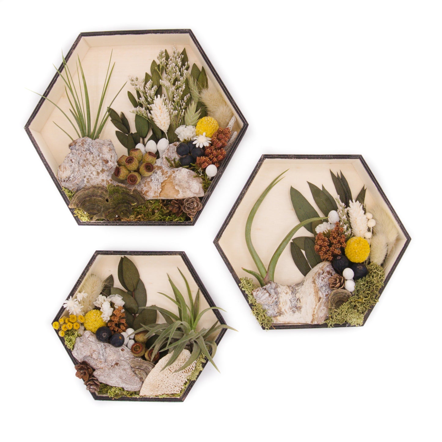 Hexagon-shaped wooden box frames filled with dried flowers, moss, wood and an airplant.