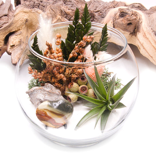 Glass bowl airplant terrarium with a bouquet of dried flowers, moss, wood and a jasper heart stone