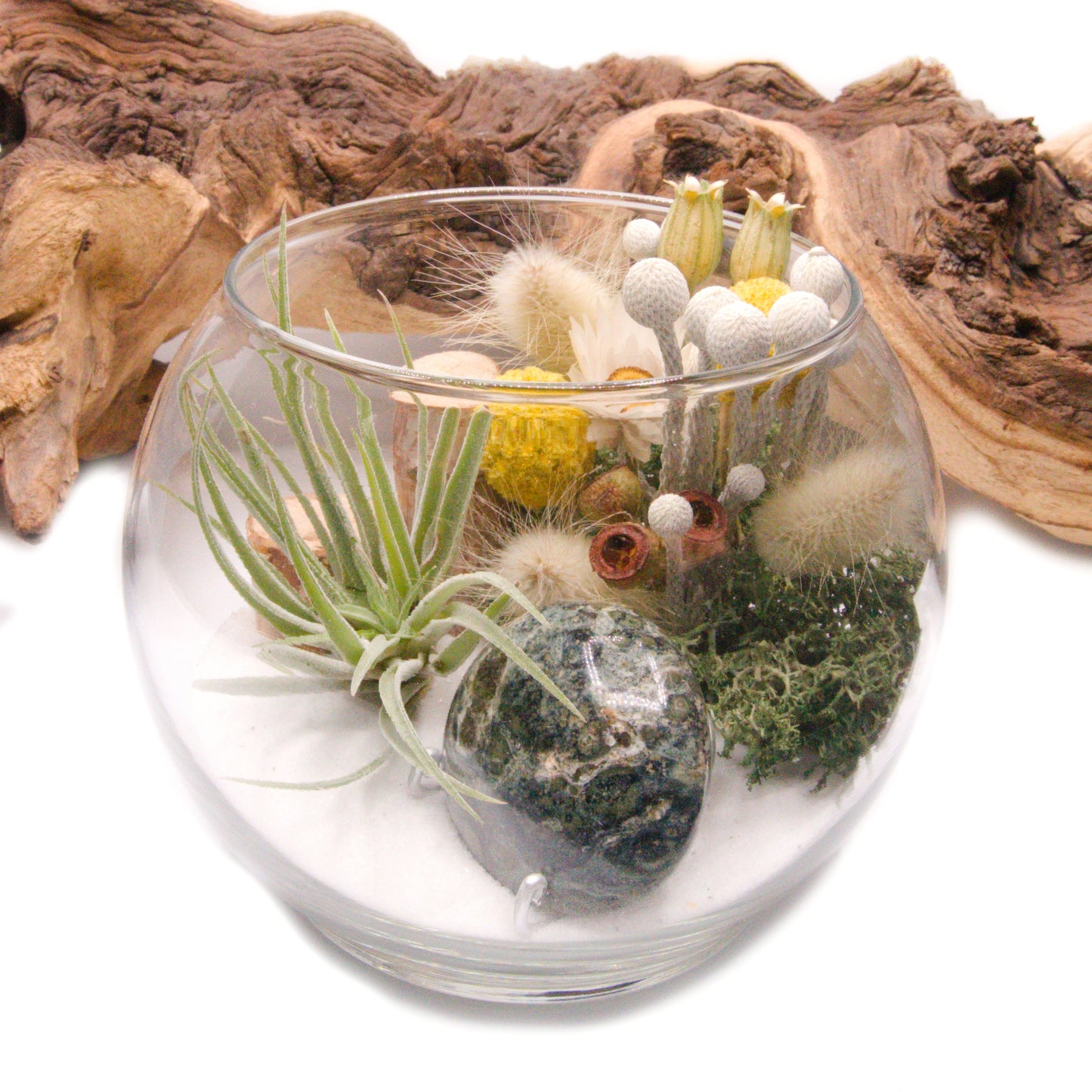 Terrarium à bol - Jaspe Kambaba