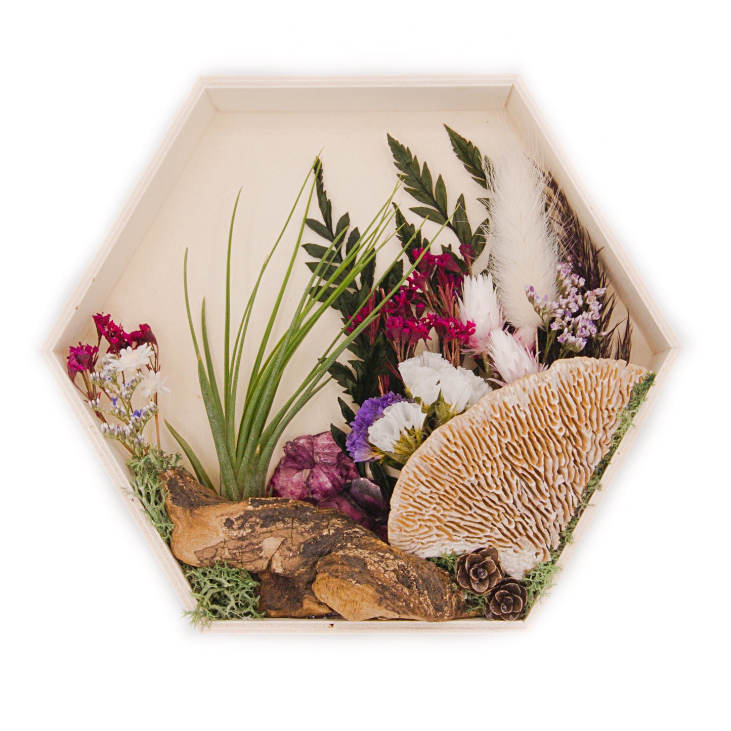 Airplant Art Frame - Mulberry
