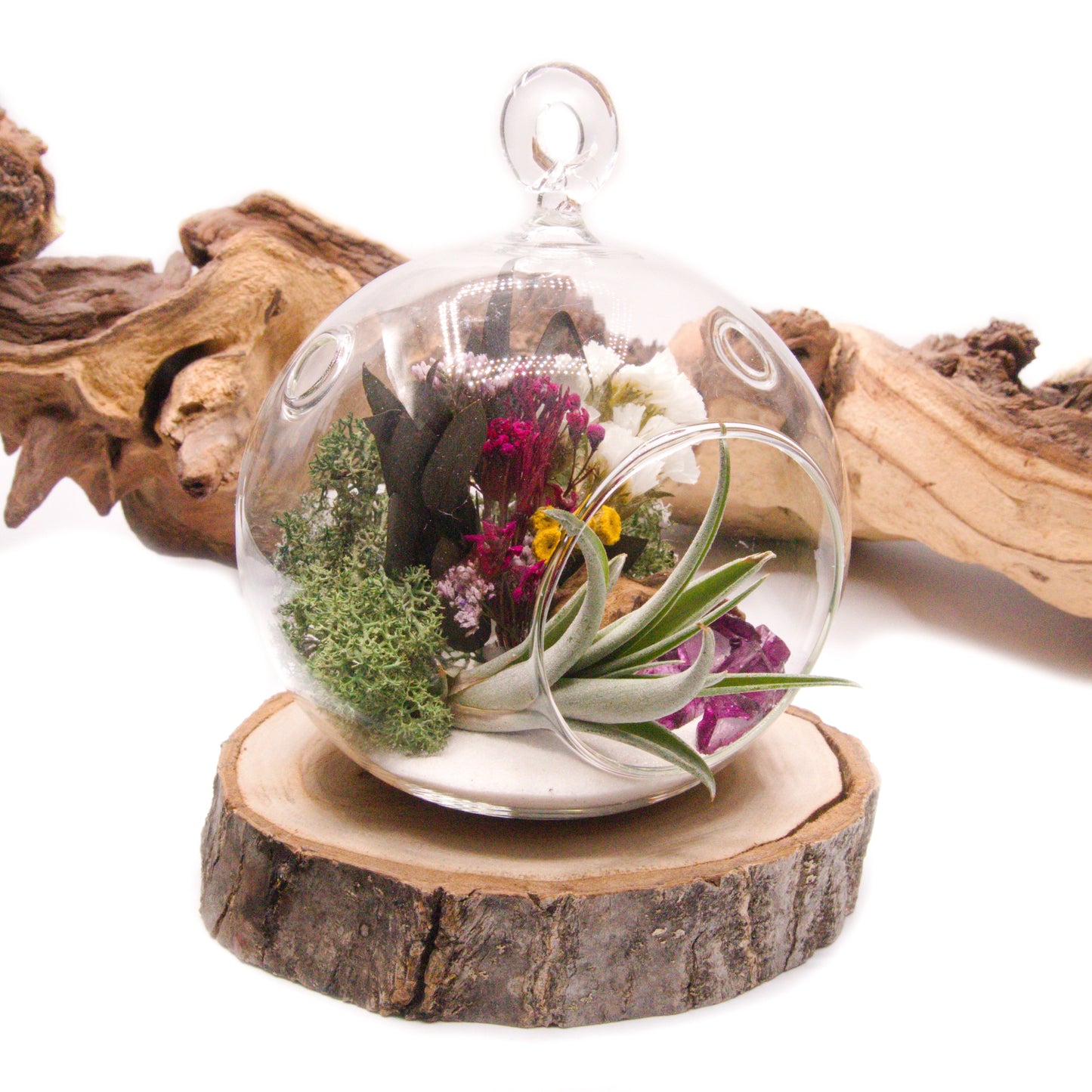 Petit terrarium à bulle - mûrier