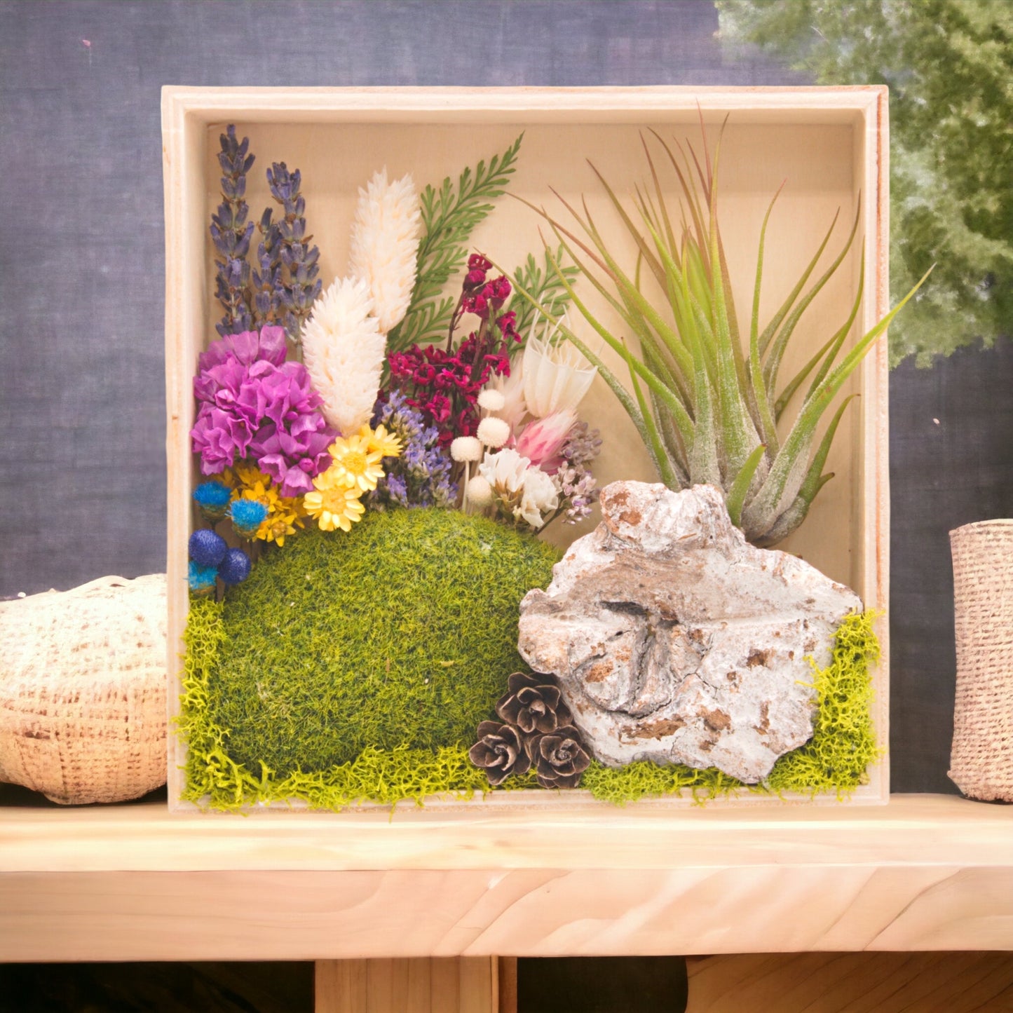 Wooden box frame filled with colourful dried flowers, moss, wood and an airplant/tillandsia
